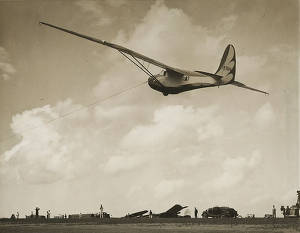 Glider in flight
