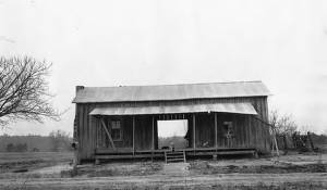 Dog Trot House