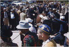 Georgia Cattle Show