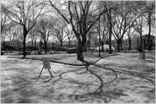 Piedmont Park