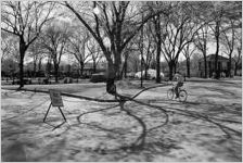 Piedmont Park