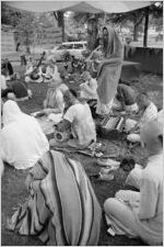 Hare Krishna Festival