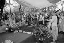Hare Krishna Festival
