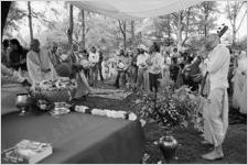 Hare Krishna Festival