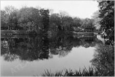 Piedmont Park