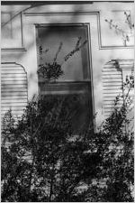 Piedmont Avenue Home