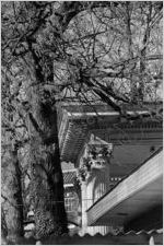 Piedmont Avenue Home