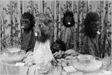 Planet of the Apes Movie Announcement