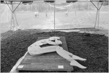 Atlanta Arts Festival, circa 1975