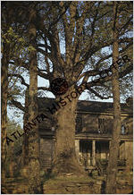 Perkerson Road Residence