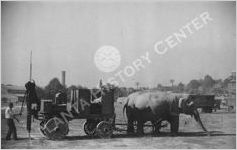 Ringling Brothers Barnum & Bailey Circus Combined Shows