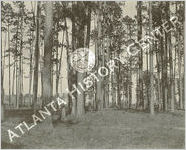Judge Spencer's Farm