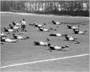 Atlanta Braves