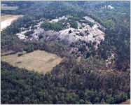 Panola Mountain State Park