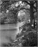 Piedmont Park