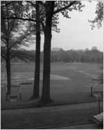 Piedmont Park