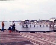 Savannah Beach