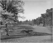 Golf Course