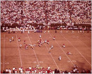 University of Georgia Football