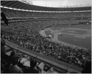 Atlanta Braves