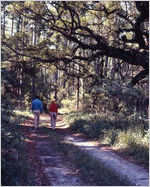 Jekyll Island