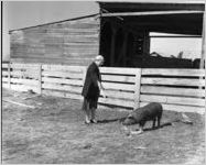Talmadge, Mattie