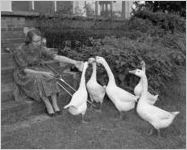 O'Connor, Flannery