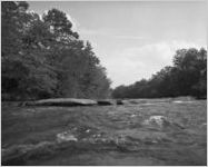 Chattahoochee River
