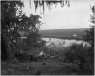 Cumberland Island, Ga.