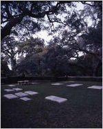 Cumberland Island, Ga.