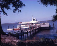 Cumberland Island, Ga.