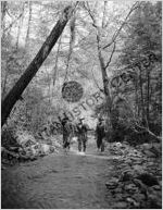 Logging Industry, circa 1940