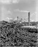 Union Camp Paper Mill