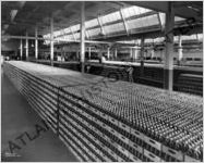 Bottling Plants (Interiors)