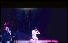 Elvis Presley concert