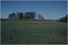 Etowah Indian Mounds Historic Site