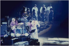 Elvis Presley concert