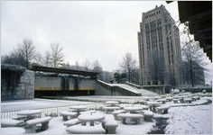 Snow Jam