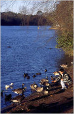 Chattahoochee River