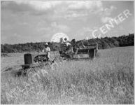 Harvest, Wheat