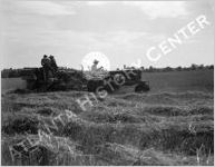 Harvest, Wheat