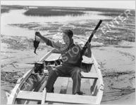 Hunting, Marsh Hen