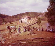 Cane Grinding