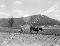 Farming