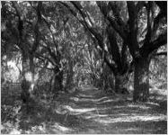 St. Simons, Georgia