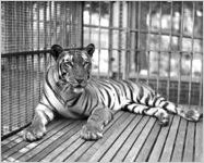 Zoo