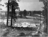 Roosevelt, Franklin Delano