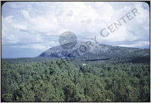 Stone Mountain