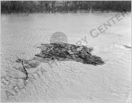 Bull Sluice Lake Flood