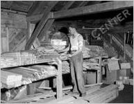 Civilian Conservation Corps, circa 1934
